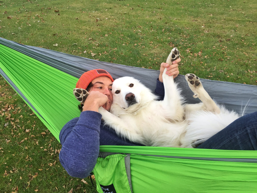 Green/Gray Camping Hammock 