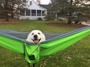 Green/Gray Camping Hammock 