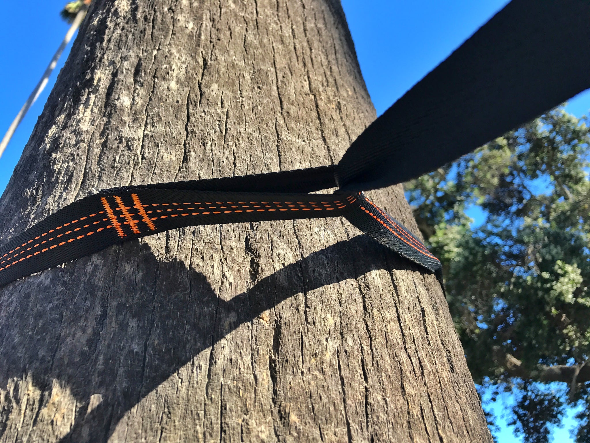 Green/Gray Camping Hammock Tree Straps