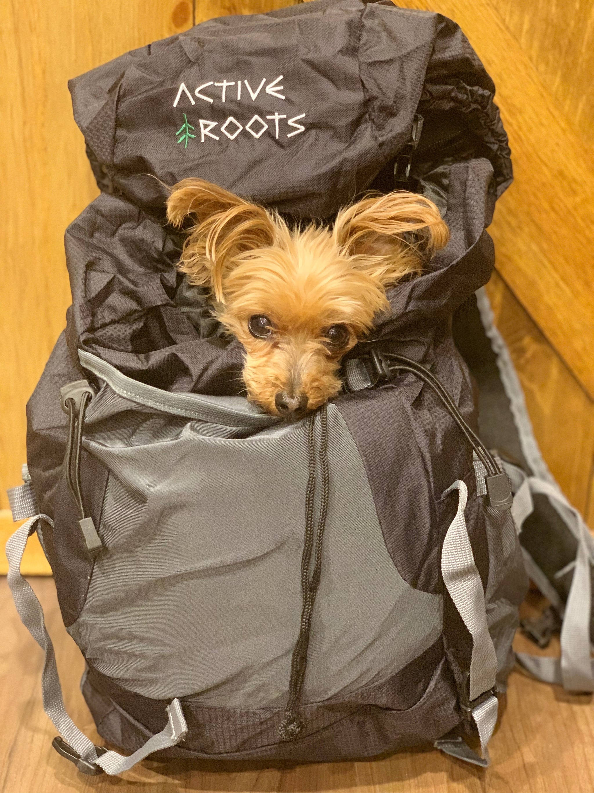 active rootstravel hiking backpack Foldable Daypack