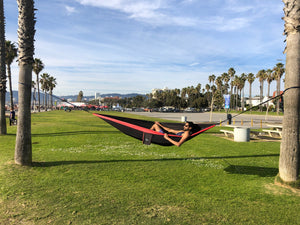 Black/Watermelon Hammock