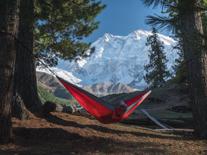 Hammocks