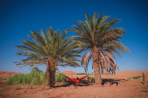 Red/Grey Camping Hammock